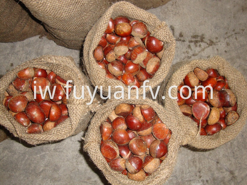 chestnut packed in jute bags
